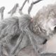 thumbnail image 3 of Ropa de Halloween para mascotas, disfraz de araña grande, disfraz de perro, disfraz de mascota, disfraz divertido., 3 of 5