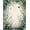 Green, Pattern 2, variant on ODIKA 4'x6' Green Black Vintage Ornamental Cottagecore Washable Area Rug Distressed Floral Scroll Center Emblem Witchy Moody Layout for Home Office, Under Desk, Non-Slip Chair-Friendly, Flatwoven