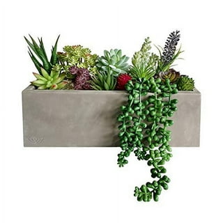 Artificial Succulents in Artificial Plants and Flowers | Purple