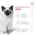 thumbnail image 3 of Nutrition Santé Féline pour Chaton Nourriture Sèche pour Chat - Nourriture Sèche pour Chat, 3 of 5