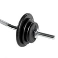 thumbnail image 2 of CAP Barbell 1-Inch Cast Iron Weight Plate, Black, Single, 10 lb, 2 of 4