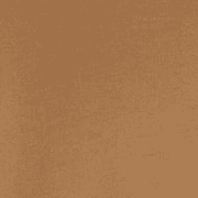 xOtter Brown