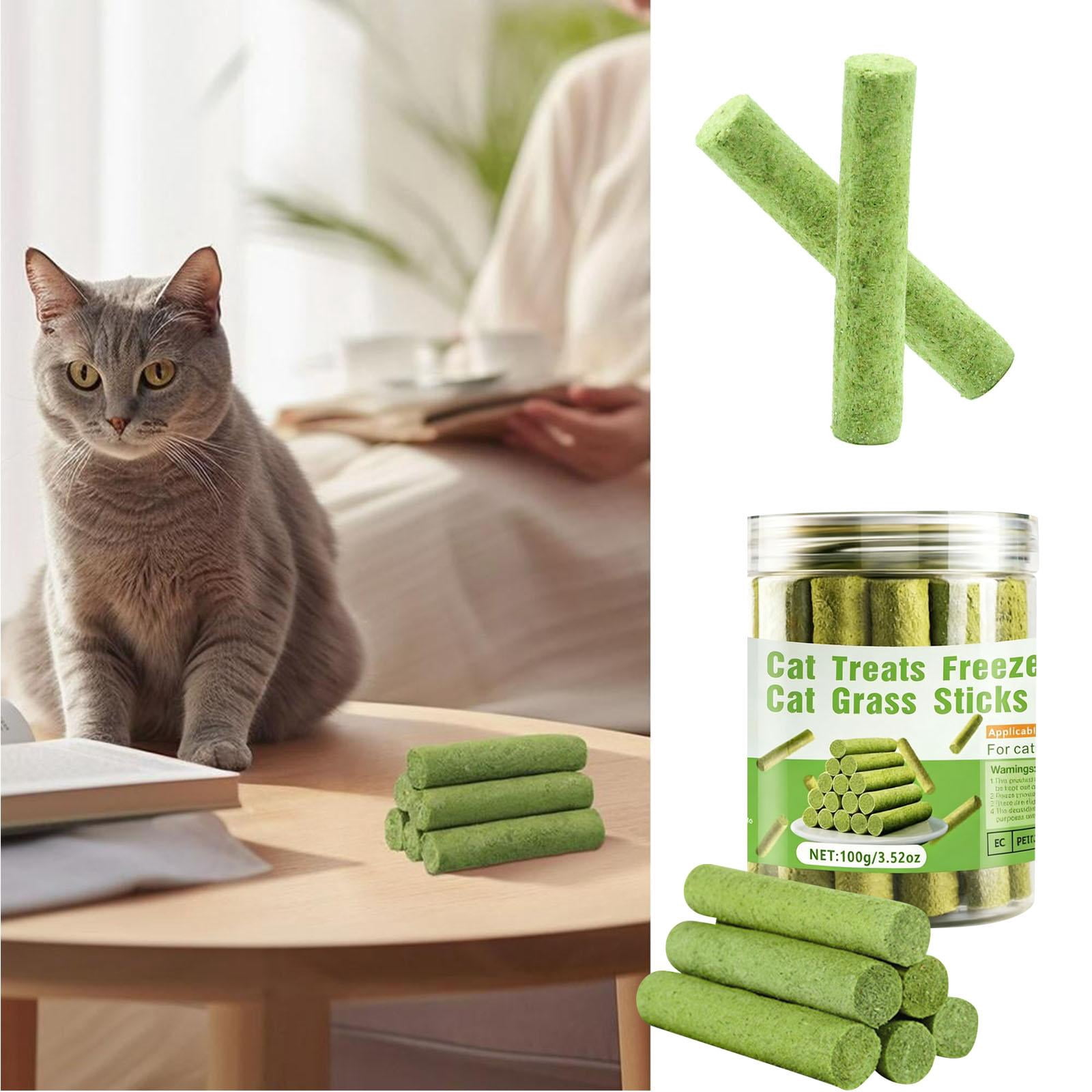 Cat Treats for Indoor Cats, Cat Grass, 16 Sticks, 3.52Oz, Plastic Jar, Feline Oral Care, Chewing, Light Green, 1 Jar, Pet Snacks