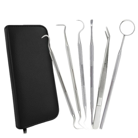 6PCS Dental Tool Stainless Steel Dental Hygiene Tool Dental Cleaning Tool