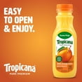 thumbnail image 3 of (2 pack) Tropicana Pure Premium 100% Orange Juice Original, Some Pulp, Single Serve, 11 fl oz, 3 of 16