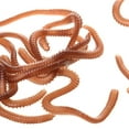 thumbnail image 5 of Señuelos Blandos de Pesca Señuelos de con Cebo de Lombriz para Cualquier Especie de, 5 of 5
