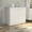 White, variant on Modern Kitchen Sink Cabinet , Double Door With Shelf - Stainless Steel, Multicolor Cabinet, Sleek,