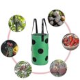 thumbnail image 3 of 2pcs Strawberry Grow Bags 3 Gallon, Grow Pouches Plant Growing Hanger Bag, 3 of 5