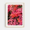 thumbnail image 2 of California Blooms - Los Angeles California Photography Floral Flowers Botanical Nature Tropical Scenic Pastel Unframed Wall Art Print 40 x 60 inches, 2 of 81