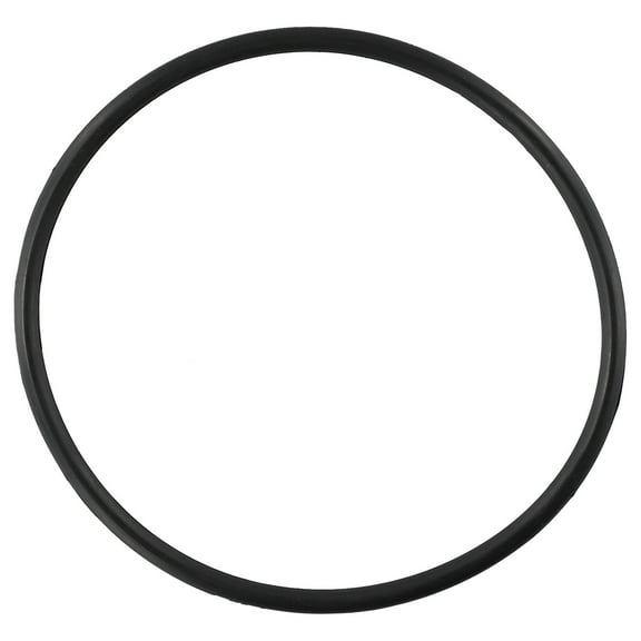 2PCS SPX3000S Strainer Cover O-Ring for Hayward for Super lid Pump Smile Home