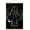 Premium Print and Beechwood Hanger Bundle, variant on Marvel Spider-Man - Into The Spider-Verse - Spider-Man Noir Wall Poster with Push Pins, 22.375" x 34"