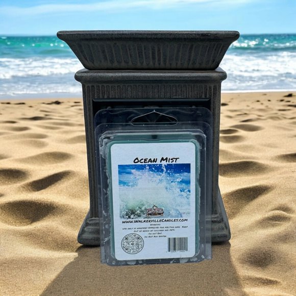 Ocean MistVegan Soy wax, Hand-poured, Eco-friendly Clean Woodsy Floral Wax Melt 4 pack