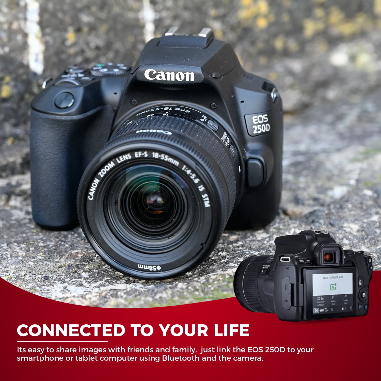 Canon EOS 250D Kit (EF-S 18-55mm DC III) (Black) – Grandy's Camera