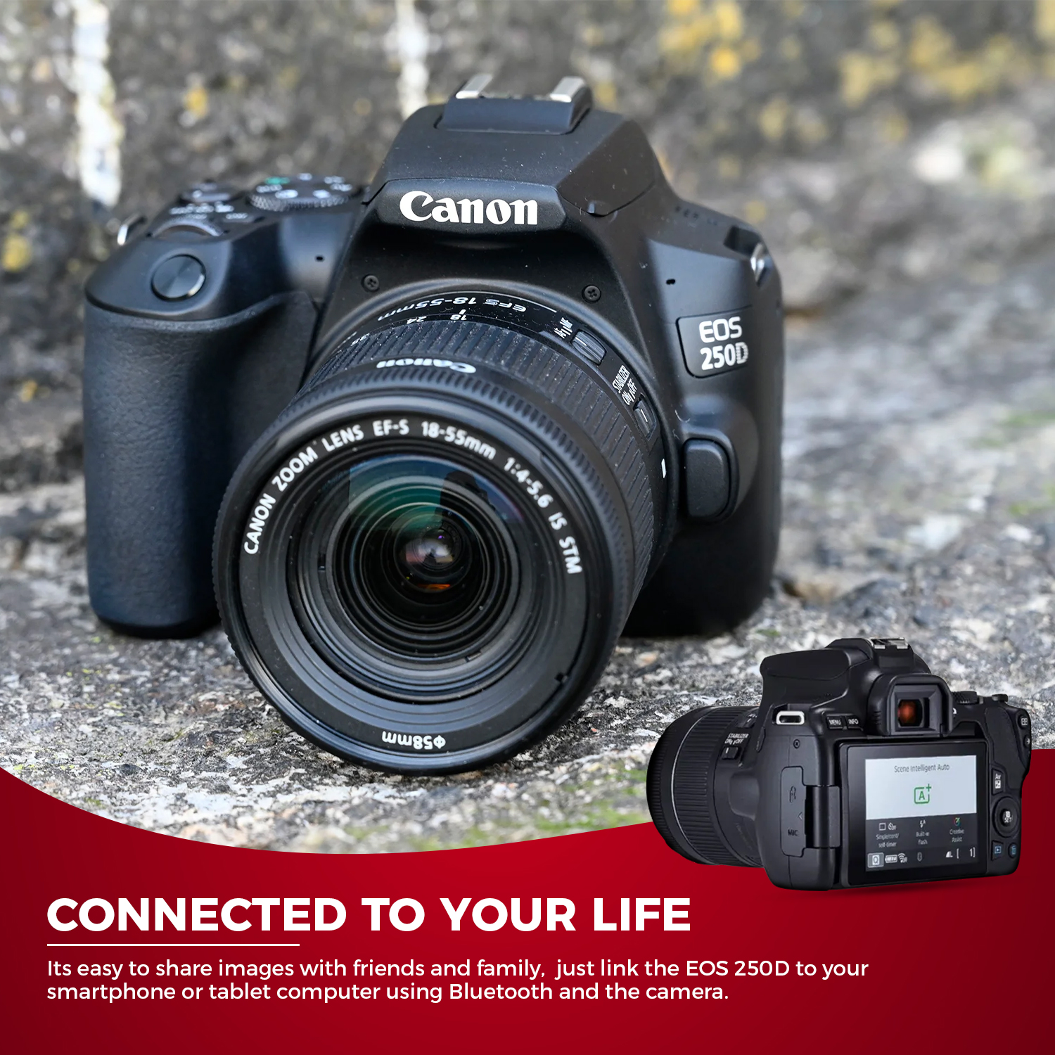 Canon EOS 250D / Rebel SL3 DSLR Camera with 18-55mm Lens (Black) + Creative Filter Set, EOS Camera Bag +  Sandisk Ultra 64GB Card + Electronics Cleaning Set, And More (International Model) - image 2 of 7
