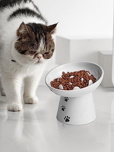 Slow Feeder Cat Bowl, Ceramic Cat Slow Feeder Bowl, 6 Inches, Elevated, Anti Vomiting for Dry and Wet Food, White