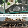 thumbnail image 3 of BULLPAW 3D Printed Fish Hideout Natural Tunnel Pleco Cave Aquarium Decor under Gravel Tunnel Cave for Cichlid Clown Loach Kuhli Loach, 3 of 8