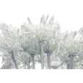 thumbnail image 3 of Frank, Assaf 24x17 Black Modern Framed Museum Art Print Titled - African Lily flowers, 3 of 5