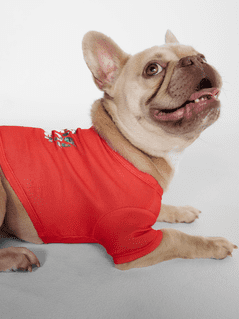 Hot Dog Summer By Megan Thee Stallion Thee Hot Dog Summer T-shirt for Dogs, Pink, Medium