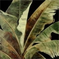 thumbnail image 2 of Great Art Now Uraba Palm on Black I by Patricia Pinto, Canvas Wall Art, 24W x 24H, 2 of 2