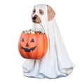 thumbnail image 2 of POINTERTECK Ghost Dog Bol à Bonbons Support Halloween Bol à Bonbons pour Chien Support de Bonbons pour Halloween Bol à Bonbons Extérieur Bol à Bonbons pour Halloween Grand Bol à Bonbons Citrouille-Chien, 2 of 6