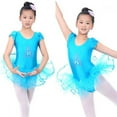 Toddler Girls Short Sleeve Glitter Ballet Tutu Leotard Dance Ballerina