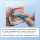 thumbnail image 2 of 50 Uds. De bandas de goma elástica para ortodoncia Dental, accesorios de odontología, herramientas de instrumentos, colores surtidos, 2 of 5