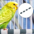 thumbnail image 4 of DOLITY Bird Parrot Cage Perch -Surface Stand Toy Molar Grinding Branch for Green 2.5x20cm, 4 of 9