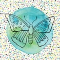 thumbnail image 2 of Frazer, Amy 26x26 White Modern Wood Framed Museum Art Print Titled - Butterflies Blue, 2 of 4