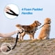 thumbnail image 5 of Correa doble para perros PetBonus, reflectante, para caminar, negra, 5 of 6