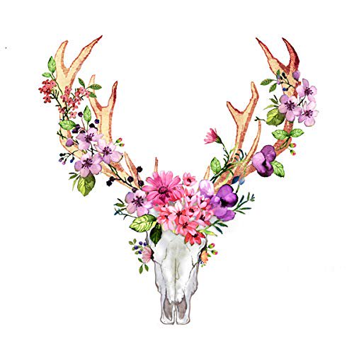 BEGIN DECO MAISON - HOME DECOR Deer with Flowers in Panache Wrapped Canvas, 36x36, Multicolor