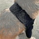 thumbnail image 4 of S Almohadillas protectoras transpirables para codo y hombro canino, higroma del codo, displasia, osteoartritis, 4 of 4