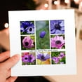 thumbnail image 7 of 3drose, I Am So Sorry for Your Loss, 6 Greeting Cards with Envelopes, 7 of 7
