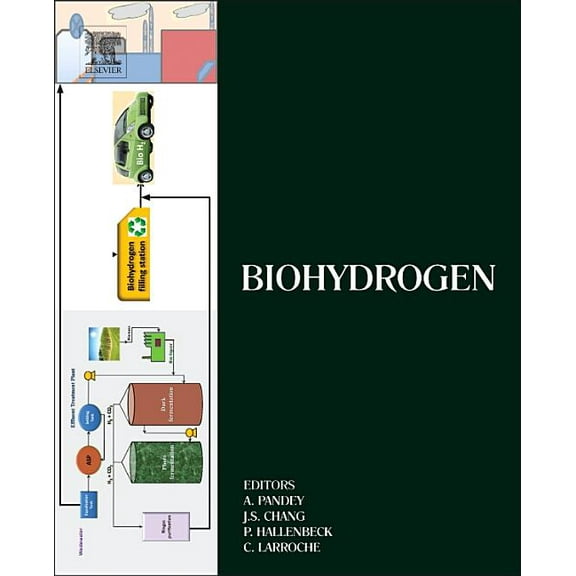 Biomass, Biofuels, Biochemicals Biohydrogen, (Hardcover)