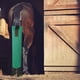 thumbnail image 5 of Bolsa De Cola De Caballo Con Flecos Cuidado Equino Accesorios Ecuestres Verde Sunnimix Envoltura de cola de caballo, 5 of 8