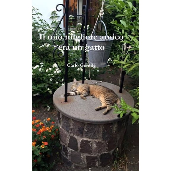 Il mio migliore amico era un gatto, (Hardcover)