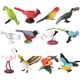 thumbnail image 1 of 12x niños modelo Animal realista Mini colección de pájaros conjunto de juguete de pájaro realista figura de modelo Animal para suministros de fiesta, 1 of 8