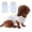 Blue, variant on HQREA Dachshund Dog Clothes Anti-UV Cooling Vest Tank Top with Pocket Stretchy Sleeveless Summer T-Shirt for Mini Dachshund