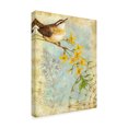 thumbnail image 2 of Trademark Fine Art 'Songbird Sketchbook I' Canvas Art by Jane Maday, 2 of 4