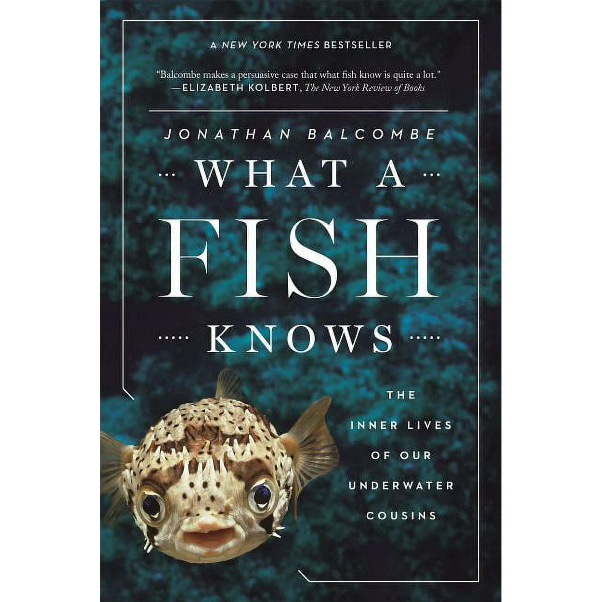 What a Fish Knows : The Inner Lives of Our Underwater Cousins (Paperback)