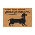 thumbnail image 2 of Coir Mat Door Mat Outdoor Mat for Entryway Outside Yard Home Decoration Door Mat - Novelty Designs Welcome Doormats Dachshund Coco Coir Outdoor Mat Natural Coir Doormat with Non-Slip Backing Sale, 2 of 5