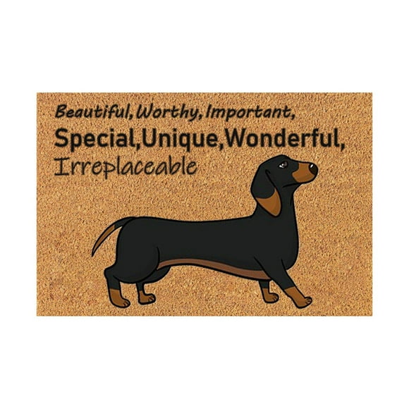 Tapis de Bienvenue Drôle Tapis de Porte d'Été Tapis de Sol en Coco Coir Slogan Amusant Tapis de Porte ‘Beau Digne Important' Paillasson Imprimé Teckel avec Support Antidérapant, Tapis de Bienvenue 16 Pieds'x24 Pieds' Tapis d'Entrée