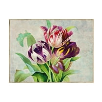 Cora Niele 'Bouquet Tulips I' Canvas Art