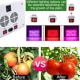 thumbnail image 2 of 600W LED Plant Grow Lights, SEGMART Newest Full Spectrum Panel Grow Lamp with IR & UV LED Grow Lights, for Indoor Plants, Succulents, Seedling, Vegetables, Lettuce, Tomatoes and Herbs, S11680, 2 of 9