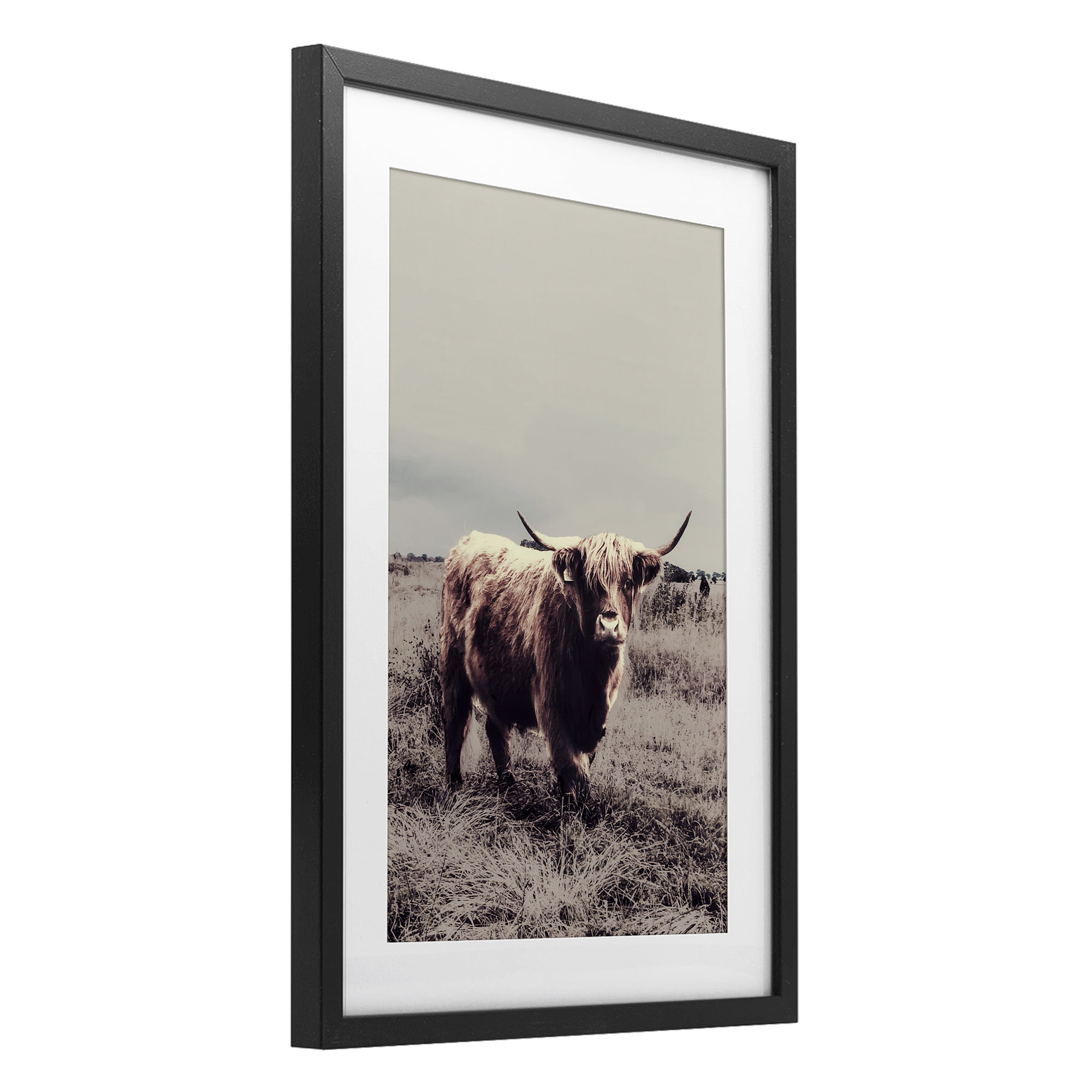 Stupell Industries Horned Cattle in Pasture Black Framed Print Under Glass, design by SD Graphics Studio
