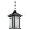 thumbnail image 2 of Acclaim Lighting Somerset Outdoor Hanging Lantern Light Fixture, 2 of 2