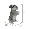 thumbnail image 3 of SCHNAUZER PUPPY PRAYING, 3 of 3
