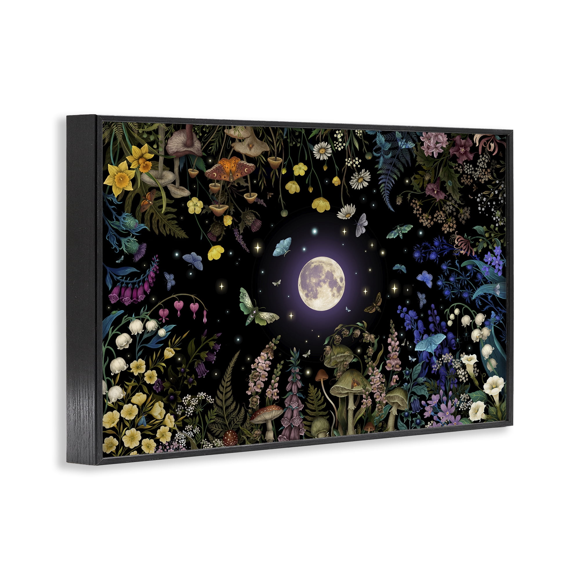 Stupell Industries Night Garden with Moth Black Framed Giclee Art, design by Episodic Drawings