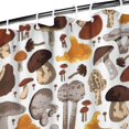 thumbnail image 3 of Colorful Mushroom Collection White Pattern Shower Curtain 36"x72" ,Bathroom Decorative Shower Curtains Set with 12 Hooks,Modern Waterproof Washable Shower Curtain, 3 of 6