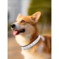 thumbnail image 4 of 1pc Rhinestone Decor Pet Collar, 4 of 4