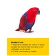 thumbnail image 5 of Alimento para Pericos Kaytee Supreme 2.27 Kg Alimento para Aves, 5 of 5